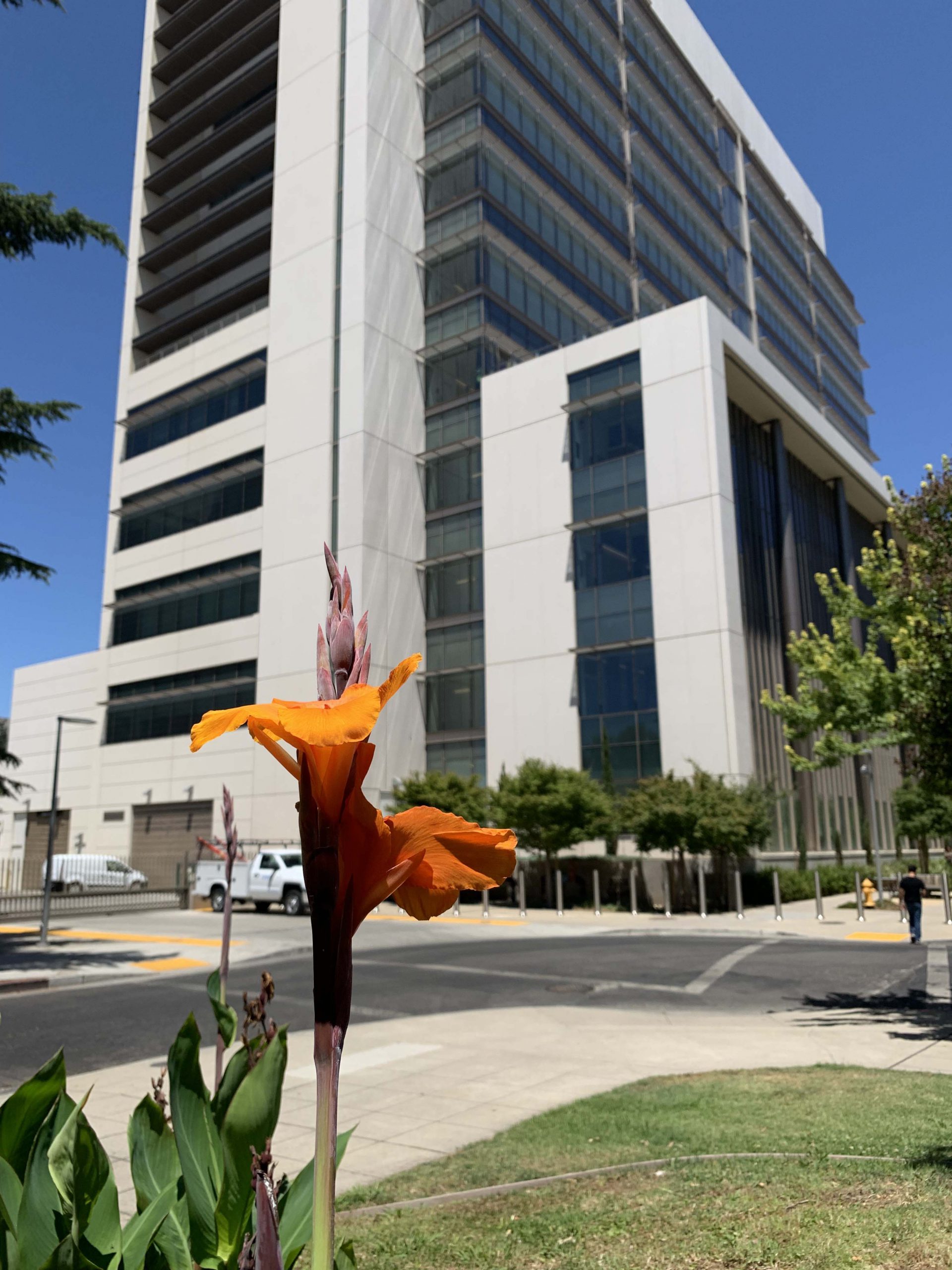 Superior Court of California
