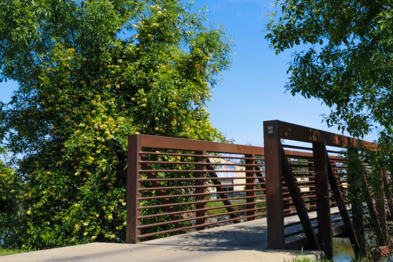 Brown railing and trees