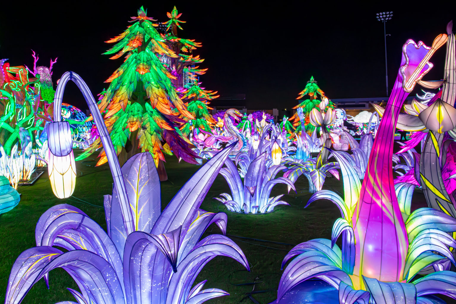 The Stockton Lantern Festival A Central Valley Wonderland Downtown Stockton Alliance